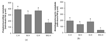 Photosynthesis explained with a diagram. Plants Free Full Text Combination Of Mycorrhizal Symbiosis And Root Grafting Effectively Controls Nematode In Replanted Coffee Soil Html