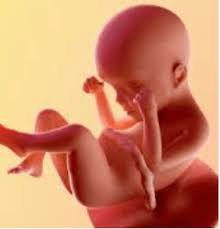 Senzatii de crestere a presiunii in zona pelviana si rectum. Sarcina Pe Saptamani Saptamana 24 De Sarcina Planse De Colorat