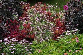 Image result for Otomeria