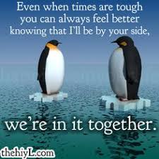 Dark teal color palette, human body parts kidney. 55 Penguin Love Quotes Ideas In 2021 Penguin Love Penguins Penguin Love Quotes