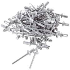 Lot De 100 Rivets Tete Plate Brico Depot
