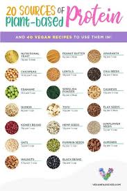 20 Vegan Protein Sources And How To Incorporate Them Into Your Diet Vegan Faux Ever In 2020 Vegan Nutrition Vegetarian Protein Sources Vegan Protein Sources