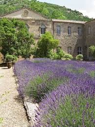 Lavendel Velden Provence Provence Lavendel Garten Anpflanzen Mediterraner Garten