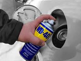 Phyllis Jean Canniff, Gainesville, FL/Janesville (1927