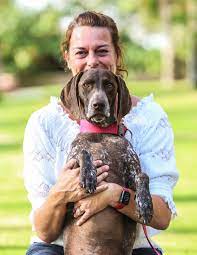 Maybe you would like to learn more about one of these? Dog Walker In Gateshead And Newcastle Pet Sitting Pet Services Dog Walker And Pet Sitting In Gateshead Uk
