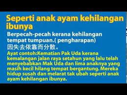 Dua orang yang saling bermusuhan dan tidak bisa didamaikan. Peribahasa Youtube