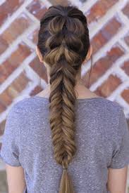 Pull Through Fishtail Braid Combo Hair Styles Long Hair Styles Thick Hair Styles
