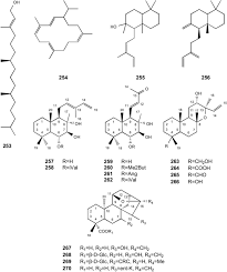 Image result for Neojeffreya