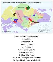 Singapore Election Passport