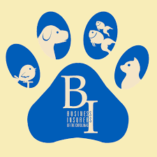 Find pet sitters near me. The Best Dog Walking Insurance In 2021 2021 Sparkygo