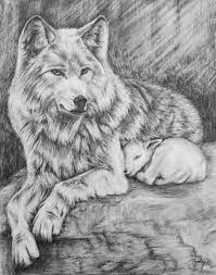 wolf and lamb pencil drawing giclee art print fine etsy croquis de loup dessin au crayon du coloriage maison