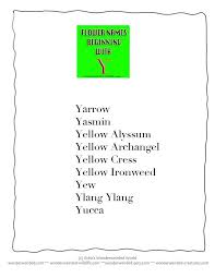 Flowers That Start With Y Dictionary Of Flower Names Beginning With Y Flower Names Flowers Name List Names Beginning With Y