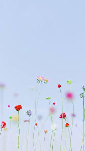 Flower Garden Wallpaper Iphone Flower Aesthetic Iphone Wallpaper Flower Wallpaper