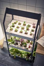 The furniture retailer is introducing a line of products, part of the krydda/växer collection, that'll help you start your own indoor hydroponic garden. New From Ikea A Hydroponic Countertop Garden Kit Gardenista Hydroponics Diy Hydroponic Gardening Garden Kits