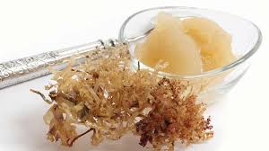 Check spelling or type a new query. How To Make Sea Moss Gel Detox Cure