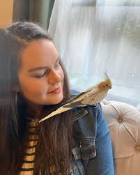 CW: pet loss Rest in peace my sweet Lenny bird 🧡 you filled my heart to  the brim with your big personality and tiny bird body. I will miss giving  you scritches