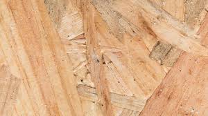 Every Plywood Treated Against Termite and Borer - Advance Ply