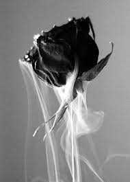 Rose Black Smoke Vape Rose Tumblr Aesthetic Roses Burning Rose