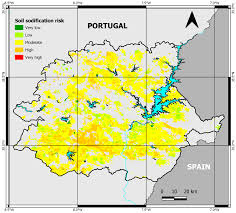 We specialize in fresh flowers and good customer service. Water Free Full Text Risk Assessment Of Irrigation Related Soil Salinization And Sodification In Mediterranean Areas Html