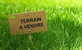 Terrain à vendre à laurentides ! Terrain Faut Il Vendre Tout Ou Partie De Sa Propriete
