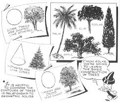 Drawing and watercolour painting instruction includes step by step demonstrations, videos and books. How To Draw Trees Bark Twigs Leaves And Foliage Drawing Tutorial How To Draw Step By Step Drawing Tutorials Tree Drawing Trees Drawing Tutorial Foliage Drawing