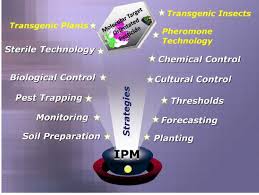 To what degree are the collections affected by pest. Integrated Pest Management Strategies Download Scientific Diagram