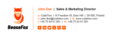 How do i use this tool? 15 Professional Email Signature Examples Why They Work