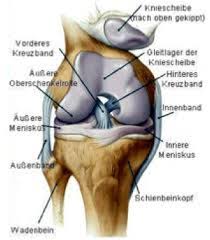 Kreuzbander Instabilitat Orthopadische Praxis Grosshansdorf