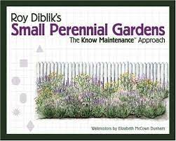 A planting of carex flacca and allium 'summer beauty' with a backdrop of calamintha nepeta ssp. Roy Diblik S Small Perennial Gardens The Know Maintenance Approach Roy Diblik 9781887632003 Amazon Com Books