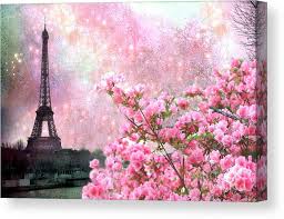 Japanese zen cherry blossom sak 12x12 canvas print. Paris Eiffel Tower Cherry Blossoms Paris Spring Eiffel Tower Pink Cherry Blossoms Canvas Print Canvas Art By Kathy Fornal
