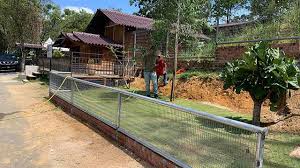 In order to get an animal out of a pipe, you. G2g Animal Garden Visit Selangor
