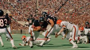 Image result for Brown 1986 Fleet