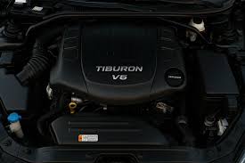 Image result for Wild Rose 1999 Tiburon
