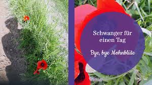In den meisten fällen wer­den die erst­en an­zeichen der wechsel­jahre zwar um das 50. Fehlgeburt Ich War Schwanger Fur Einen Tag Bye Bye Mohnblute