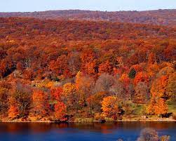 Foliage At Lake Welch Harriman State Park New York Harriman State Park State Parks Scenery
