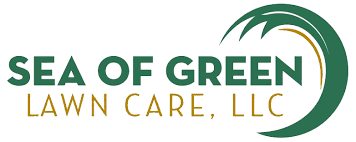 Near you 20+ lawn care services near you. Lawn Care Fertilization Services Near Me Sea Of Green Lawn Care