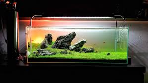 Straight Iwagumi A Look Back At The 60f Iwagumi Aquascaping Aquaria Aquascape Natureaquarium Aquadesignamano Plantedtank Bể Ca