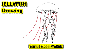Maybe you would like to learn more about one of these? How To Draw Jellyfish For Kids Youtube