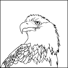 Use these images to quickly print coloring pages. Printable Bald Eagle Coloring Pages Coloringme Com