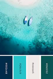 Create color palettes with the color wheel or image, browse thousands of color combinations from the adobe color community. Blue Green Color Palette Brand Color Palette Aqua Color Palette Brown Color Palette