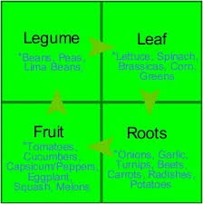 Vegetable Crop Rotation Chart In India Www