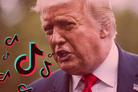 TikTok Ban: Right-Wing Influencers Still Support Trump