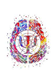 Consulta de psicología online que pone a tu disposición un psicólogo profesional con amplia experiencia. Pin En Psicologia Logotipo
