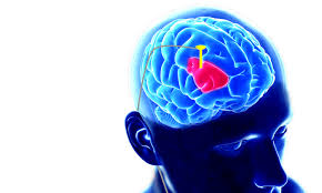 Common symptoms include tremor, slowness of movement, stiff muscles, unsteady walk and balance and. Deep Brain Stimulation Dbs Parkinson S Foundation