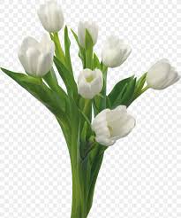 Shades of cream, ivory, silver, and pure snow blossoms layer seamlessly to form a peaceful landscape that glows in the evening. Condolences Mourning Grief Death Sentence Png 1330x1600px Condolences Condolence Book Consolation Cut Flowers Death Download Free