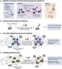 Check spelling or type a new query. Chemical Tools For Endogenous Protein Labeling And Profiling Sciencedirect