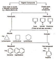 cbse class 11 chemistry notes general organic chemistry