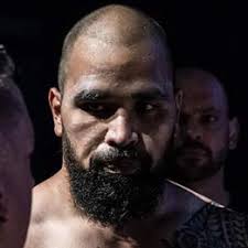 Cameron Dempsey vs. David Taumoepeau, Hex Fight Series 16