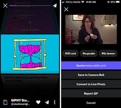 How to download gif from giphy on windows, android or. How To Save Gifs To Your Iphone