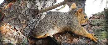 New born baby catch my little finger new born baby catch my little finger hanging on for dear life stock pictures, royalty. Hanging On For Dear Life Photograph By Ie Mcclellan